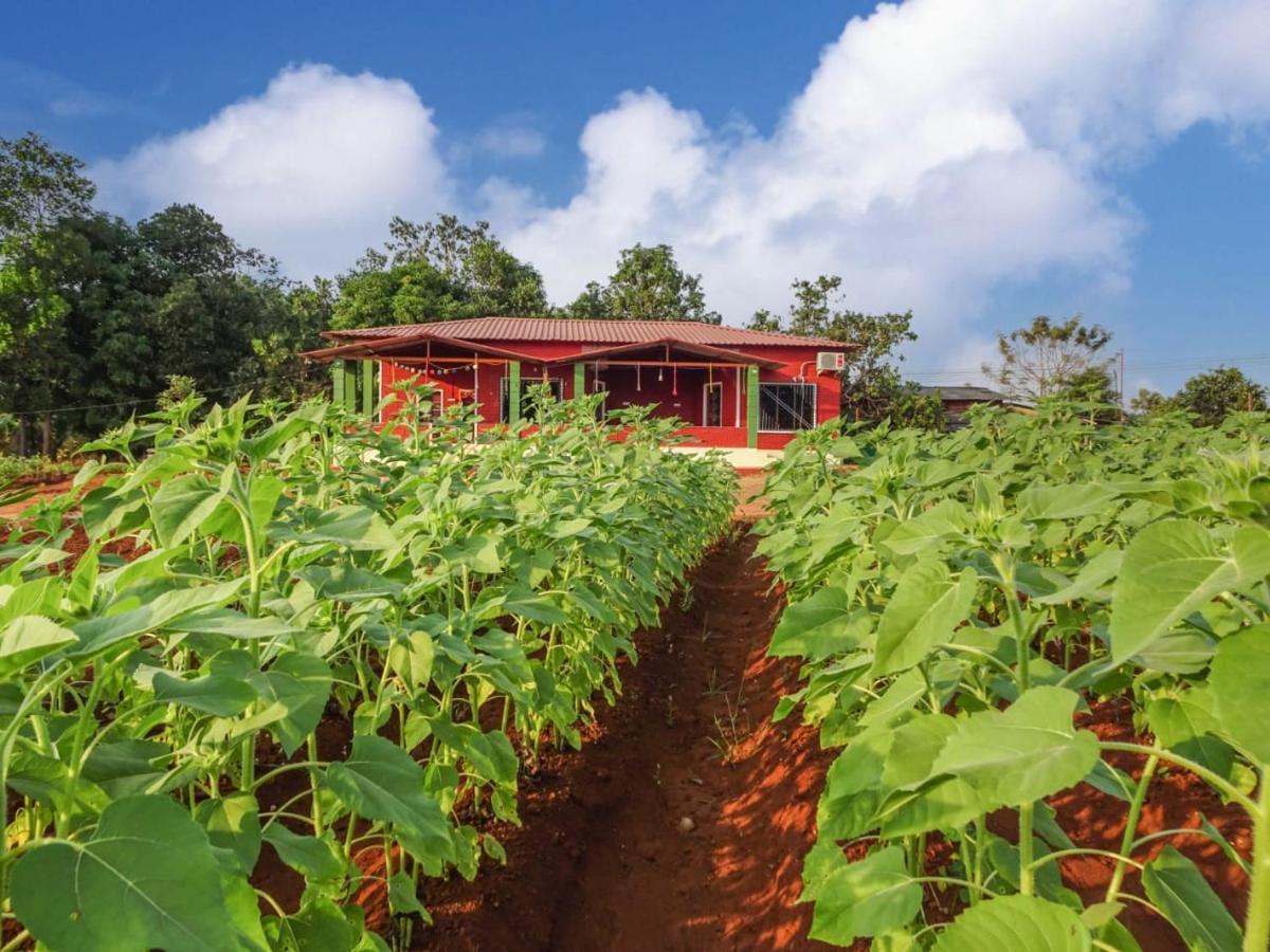 Aarya Farm Bed & Breakfast Bhom ภายนอก รูปภาพ